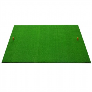 Ecnomic Swing Mat